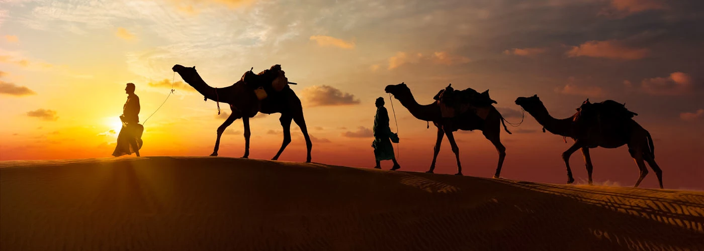 image from عاش المليك